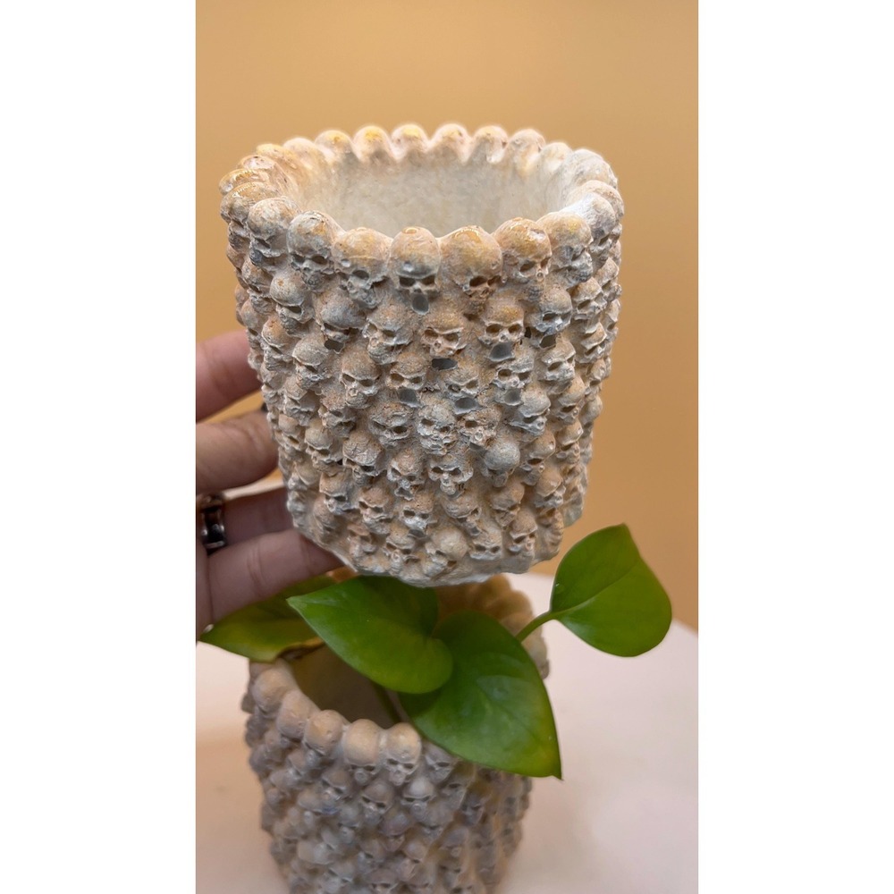 2 skulConcrete Planter – Handmade Cement Pot – Unique Textured– Handmade – - Picture 4 of 6
